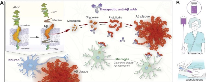 A light at the end of the tunnel - from mutation identification to a potential treatment for Alzheimer's disease.
