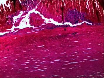 Abstract Image