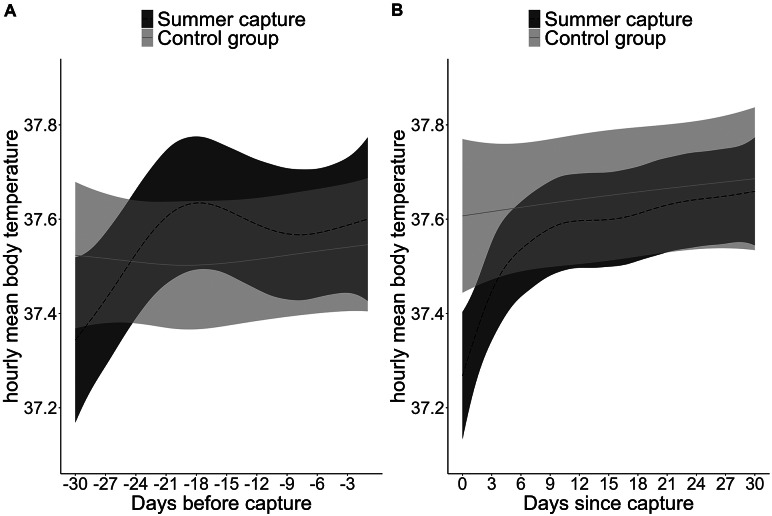 The cost of research: Lasting effects of capture, surgery and muscle biopsy on brown bear (<i>Ursus arctos</i>) movement and physiology.