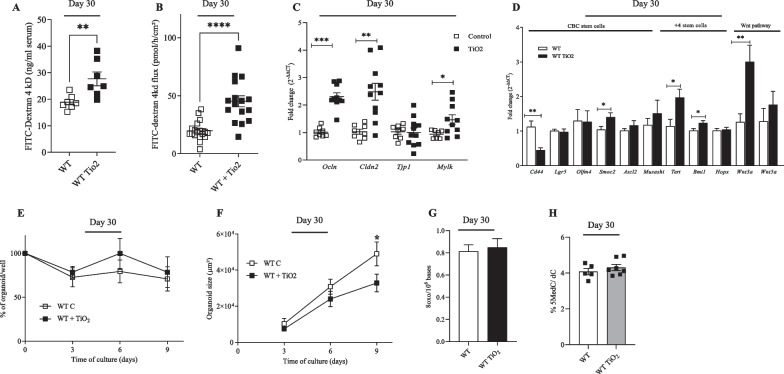 Perinatal foodborne titanium dioxide exposure-mediated dysbiosis predisposes mice to develop colitis through life.