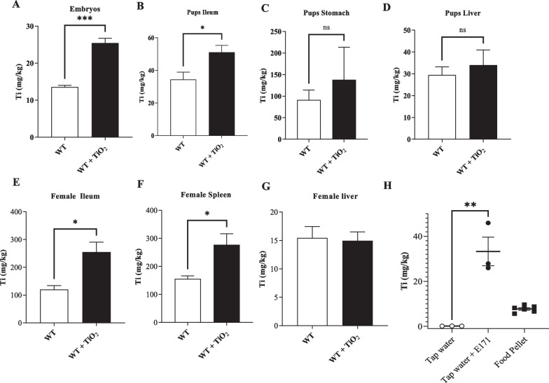 Perinatal foodborne titanium dioxide exposure-mediated dysbiosis predisposes mice to develop colitis through life.