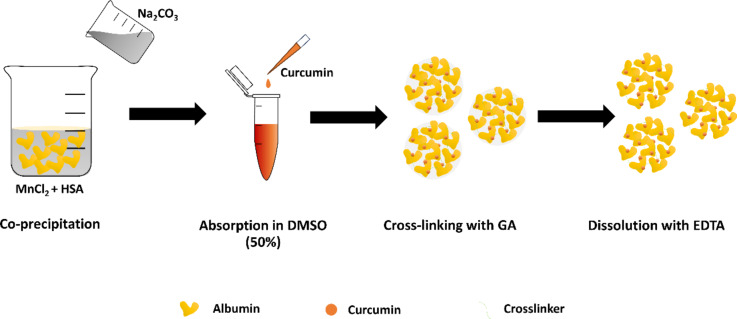 Curcumin-loaded albumin submicron particles with potential as a cancer therapy: an in vitro study.
