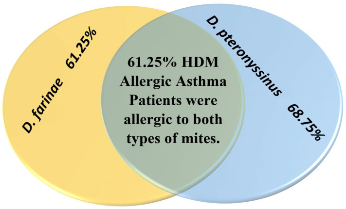 Investigating Forkhead Box O Transcription Factor 1 Gene's Relation to Immunoglobulin E in House Dust Mite-Allergic Asthma Patients.