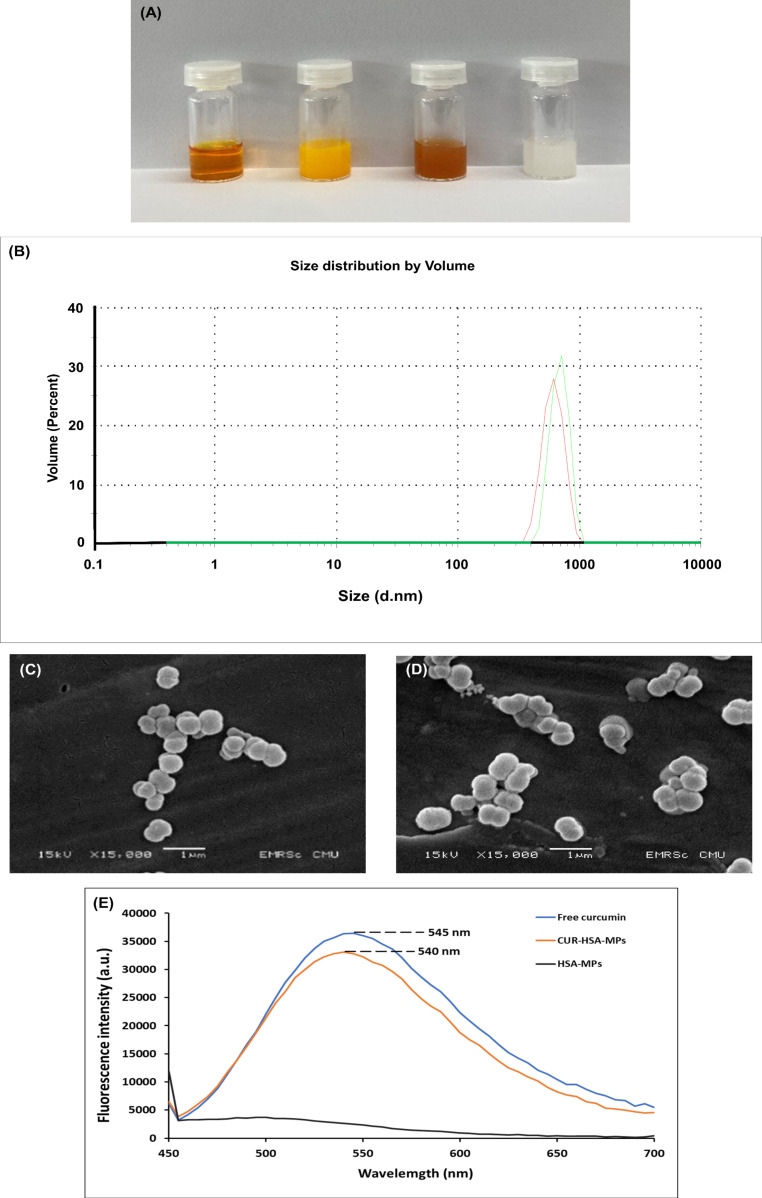 Curcumin-loaded albumin submicron particles with potential as a cancer therapy: an in vitro study.