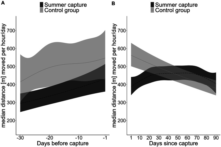 The cost of research: Lasting effects of capture, surgery and muscle biopsy on brown bear (<i>Ursus arctos</i>) movement and physiology.