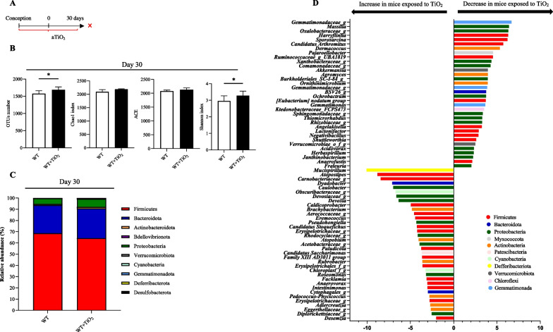 Perinatal foodborne titanium dioxide exposure-mediated dysbiosis predisposes mice to develop colitis through life.
