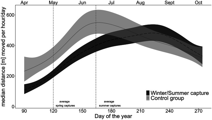 The cost of research: Lasting effects of capture, surgery and muscle biopsy on brown bear (<i>Ursus arctos</i>) movement and physiology.