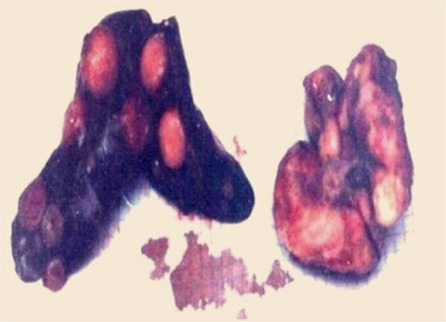 Abstract Image