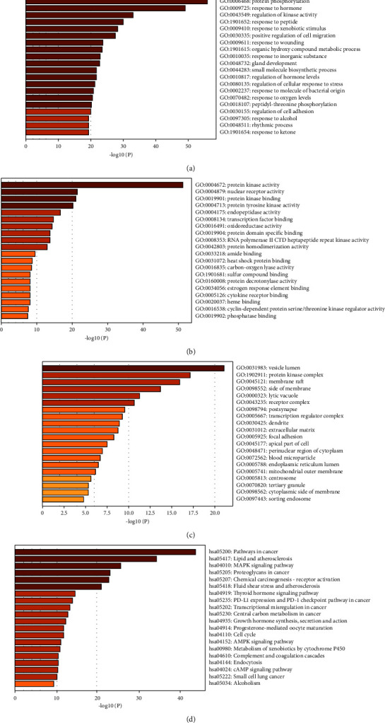 Orientin Reduces the Effects of Repeated Procedural Neonatal Pain in Adulthood: Network Pharmacology Analysis, Molecular Docking Analysis, and Experimental Validation.
