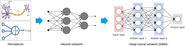 Application and Potential of Artificial Intelligence in Heart Failure: Past, Present, and Future.