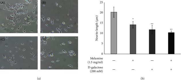 Melamine Exacerbates Neurotoxicity in D-Galactose-Induced Neuronal SH-SY5Y Cells.