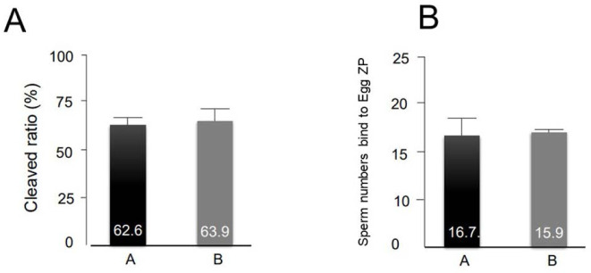 Industrialization possibilities of purified pig sperm hyaluronidase.