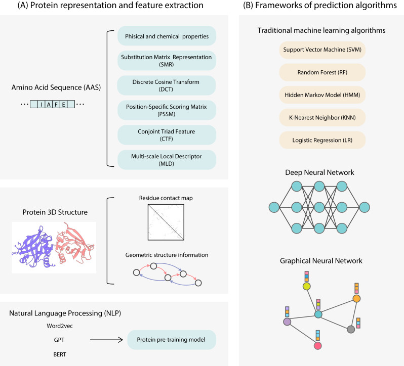 In silico protein function prediction: the rise of machine learning-based approaches.