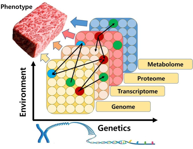 Multi-Omics Approaches to Improve Meat Quality and Taste Characteristics.