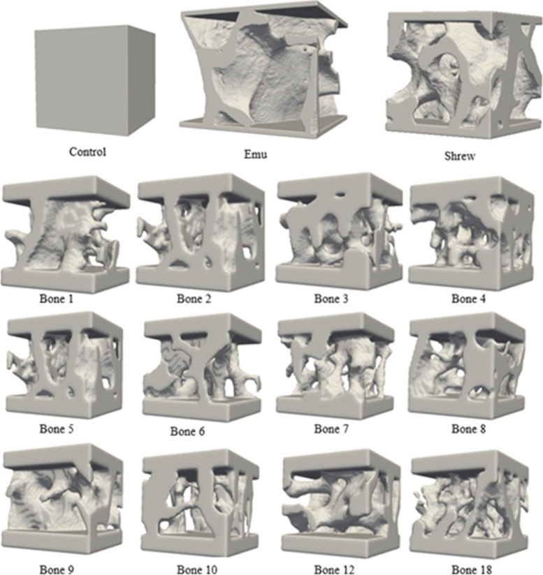 Characterization of mechanical stiffness using additive manufacturing and finite element analysis: potential tool for bone health assessment.