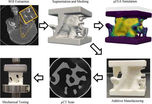 Characterization of mechanical stiffness using additive manufacturing and finite element analysis: potential tool for bone health assessment.
