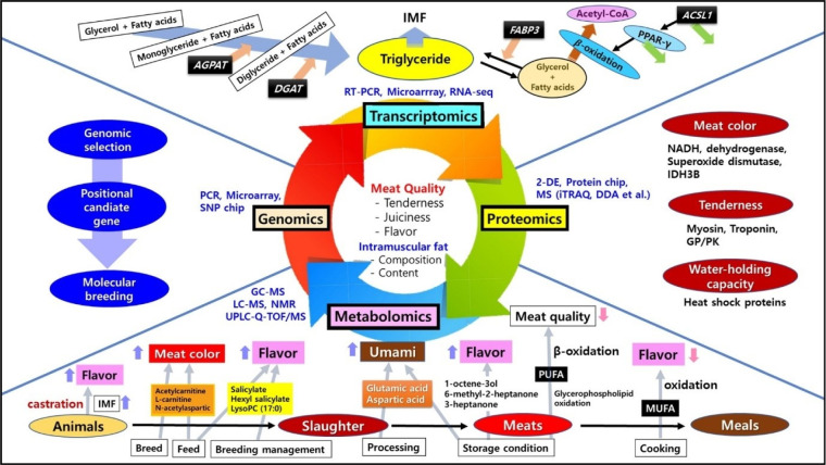 Multi-Omics Approaches to Improve Meat Quality and Taste Characteristics.