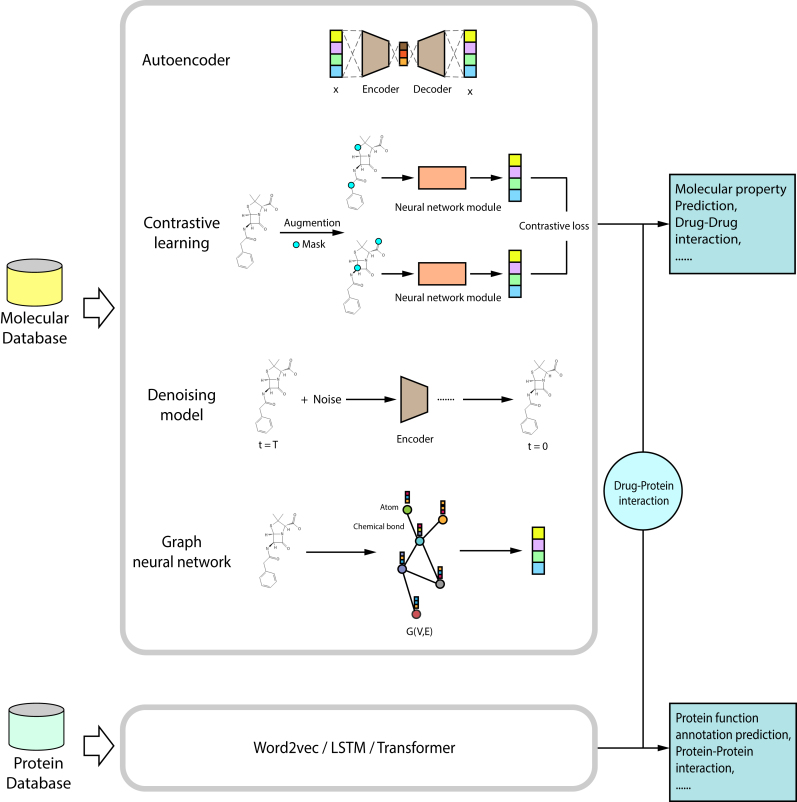 In silico protein function prediction: the rise of machine learning-based approaches.