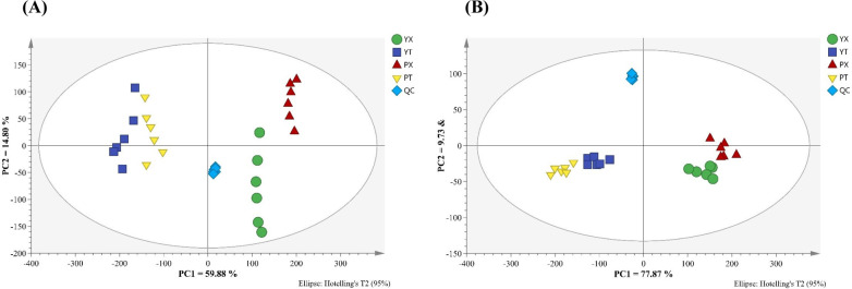 Comparison of the Fatty Acid Composition and Small Molecular Metabolites between Yanjin Blackbone Chicken and Piao Chicken Meat.
