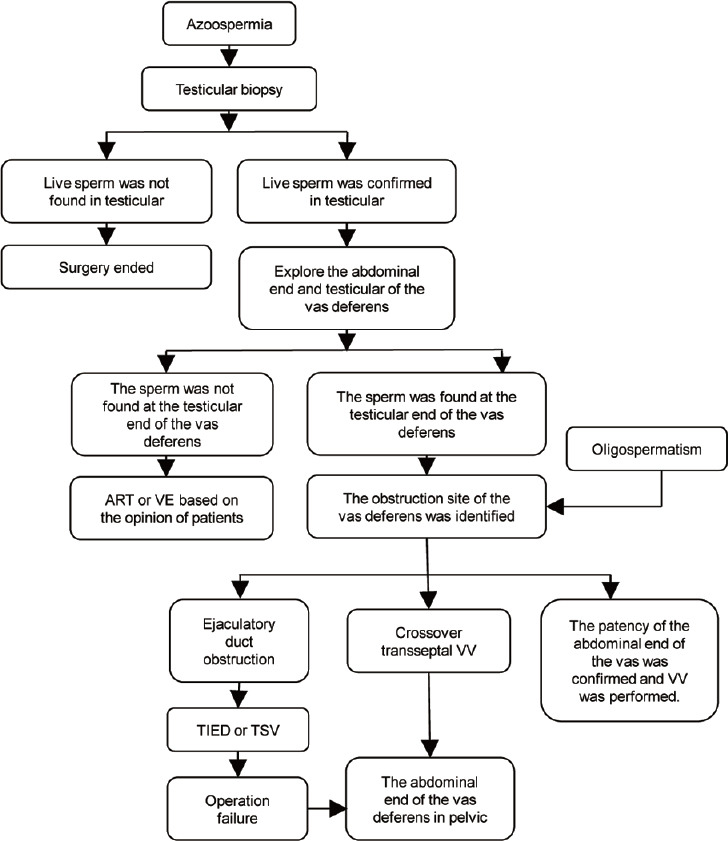 High ligation of the hernia sac in open nonmesh inguinal herniorrhaphy is an important cause of iatrogenic vas deferens injury.