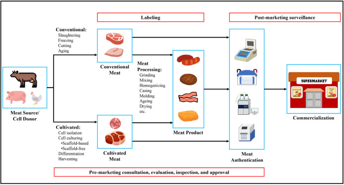 Checkmeat: A Review on the Applicability of Conventional Meat Authentication Techniques to Cultured Meat.