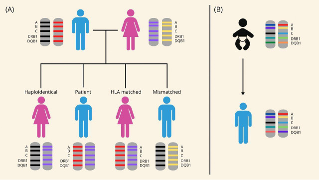 Impact of the COVID-19 pandemic on hematopoietic stem cell transplant programmes in Singapore.