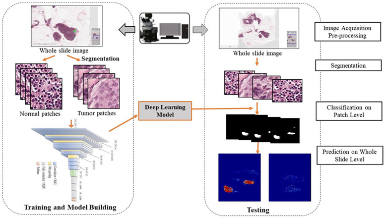 Designing a Deep Learning-Driven Resource-Efficient Diagnostic System for Metastatic Breast Cancer: Reducing Long Delays of Clinical Diagnosis and Improving Patient Survival in Developing Countries.