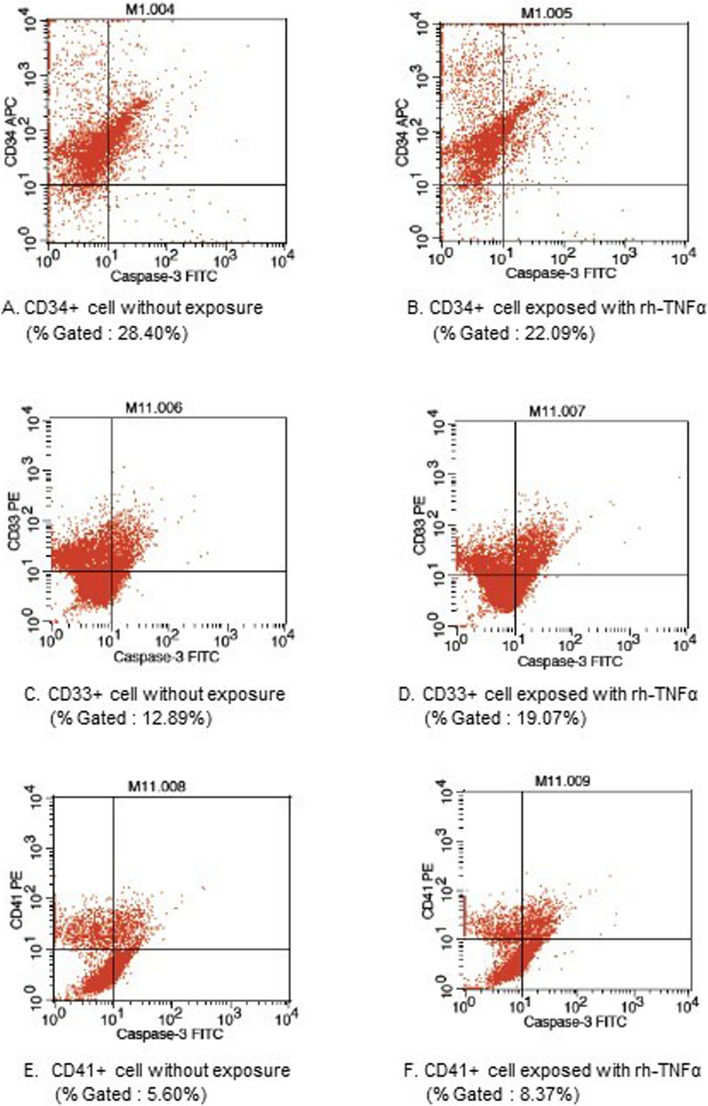 TNFα induces Caspase-3 activity in hematopoietic progenitor cells CD34+, CD33+, and CD41 + of myelodysplastic syndromes.