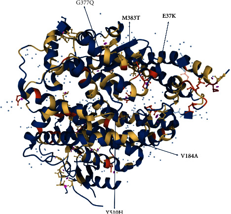 Genetic Variations in the Human Angiotensin-ConvertingEnzyme 2 and Susceptibility to Coronavirus Disease-19.