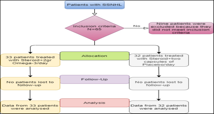 Omega-3 Adjunctive Therapy in Idiopathic SSNHL: A Randomised, Triple-Blind, Placebo-Controlled Trial.