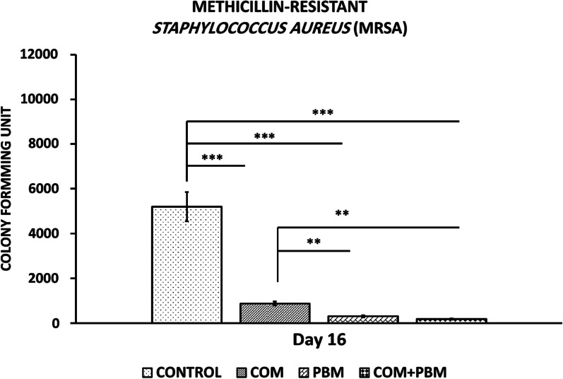 Promising improvement in infected Wound Healing in Type two Diabetic rats by Combined effects of conditioned medium of human adipose-derived stem cells plus Photobiomodulation.