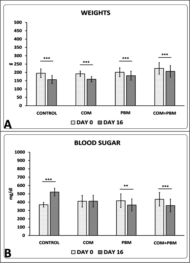 Promising improvement in infected Wound Healing in Type two Diabetic rats by Combined effects of conditioned medium of human adipose-derived stem cells plus Photobiomodulation.