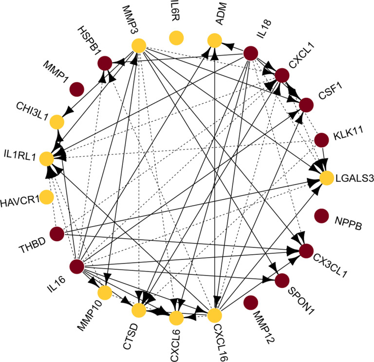 Inferring a directed acyclic graph of phenotypes from GWAS summary statistics.