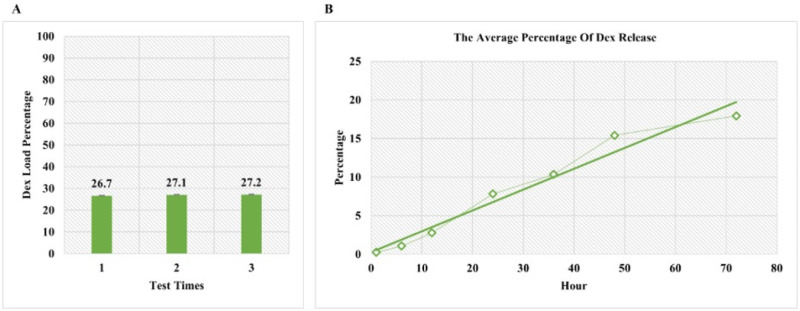 Improvement of spinal cord injury symptoms by targeting the Bax/Bcl2 pathway and modulating TNF-α/IL-10 using Platelet-Rich Plasma exosomes loaded with dexamethasone.