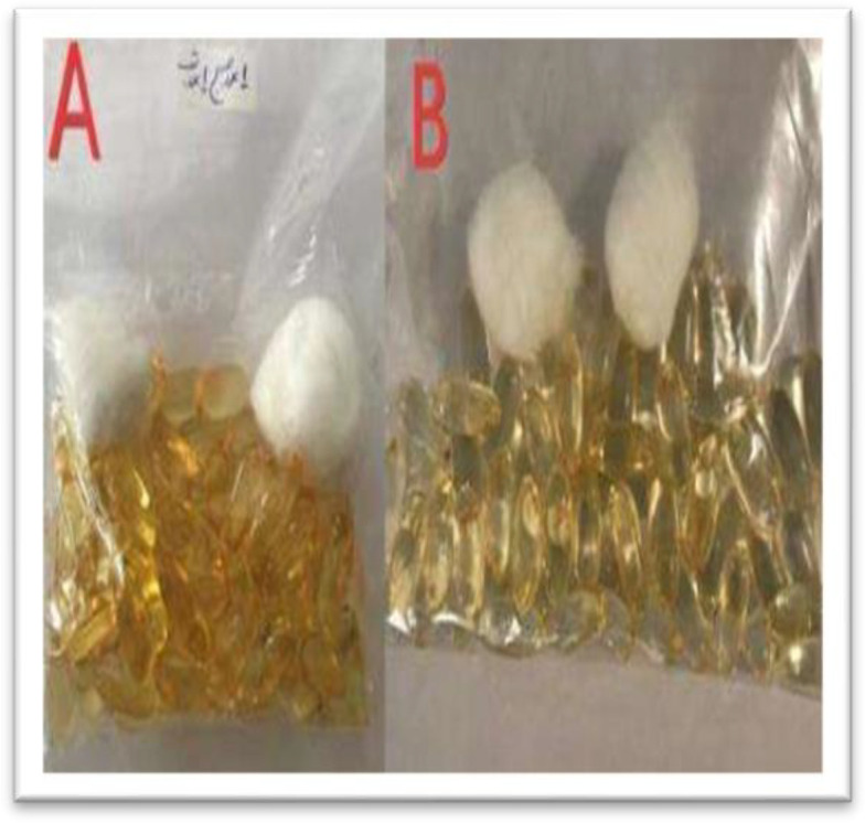 Omega-3 Adjunctive Therapy in Idiopathic SSNHL: A Randomised, Triple-Blind, Placebo-Controlled Trial.
