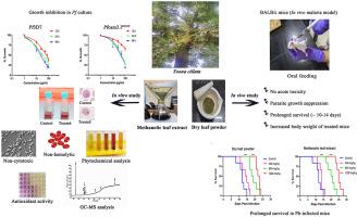 Antimalarial activity of Toona ciliata MJ Roem aqueous methanolic leaf extract and its antioxidant and phytochemical properties