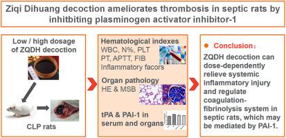 Ziqi Dihuang decoction ameliorates thrombosis in septic rats by inhitbiting plasminogen activator inhibitor-1