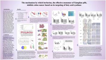 Study on the mechanism of action of effective monomeric, berberine of Xianglian Pill in inhibiting human colon cancer cells based on fatty acid synthase target