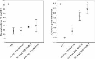 Foliar application of Pluronic P85-grafted single-walled carbon nanotubes induces thylakoid membrane structural remodeling