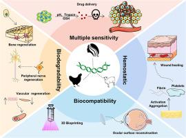 Recent advances in keratin for biomedical applications