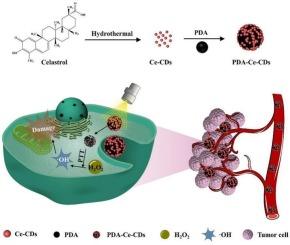 Polydopamine-activated celastrol carbon dots for synergistic chemotherapy-photothermal therapy of tumors