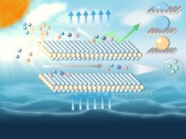 Transition metal compounds: From properties, applications to wettability regulation