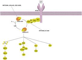 Recent advances in the development of inhibitors targeting KRAS-G12C and its related pathways