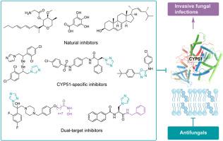 Strategies of targeting CYP51 for IFIs therapy: Emerging prospects, opportunities and challenges