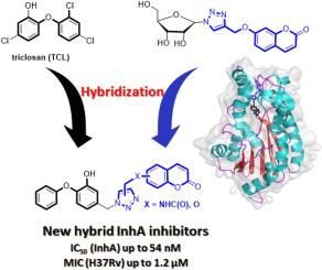 Discovery of new diaryl ether inhibitors against Mycobacterium tuberculosis targeting the minor portal of InhA