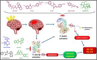 Small molecule inhibitors of NLRP3 inflammasome and GSK-3β in the management of traumatic brain injury: A review