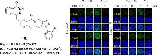 Identification of [1,2,4]Triazolo[4,3-a]pyrazine PARP1 inhibitors with overcome acquired resistance activities