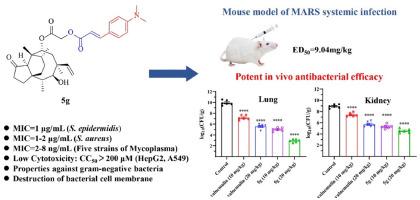 Design, synthesis, and evaluation of novel pleuromutilin aryl acrylate derivatives as promising broad-spectrum antibiotics especially for combatting multi-drug resistant gram-negative bacteria