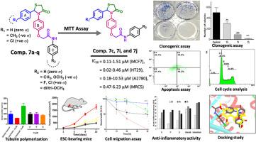 Discovery and optimization of 2,3-diaryl-1,3-thiazolidin-4-one-based derivatives as potent and selective cytotoxic agents with anti-inflammatory activity