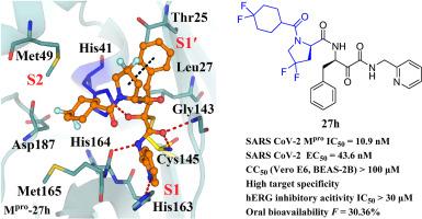 Discovery and structure-activity relationship studies of novel α-ketoamide derivatives targeting the SARS-CoV-2 main protease